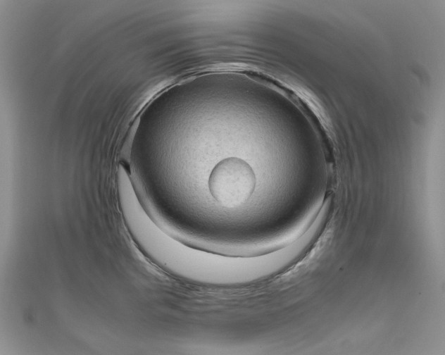 X0000111471193200907271305