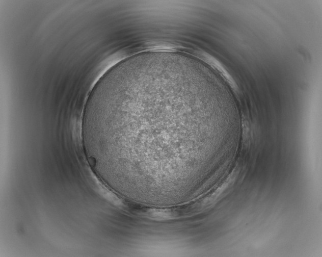 X0000111471194200907271305