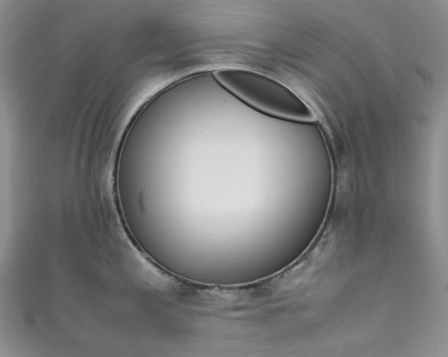 X0000111471197200907271305