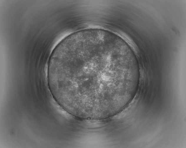 X0000111471198200907271305