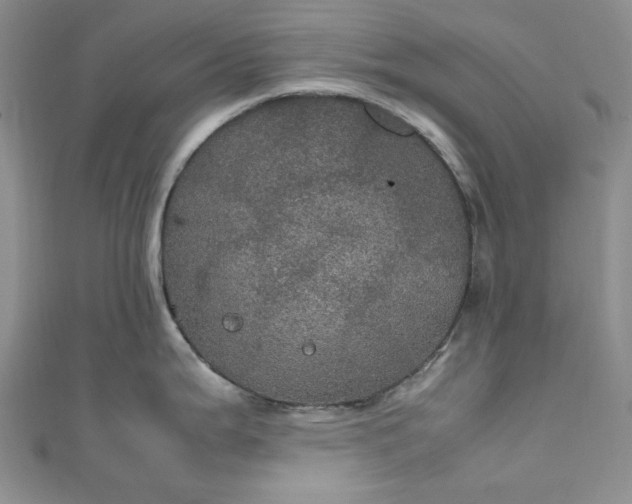 X0000111471199200907271305