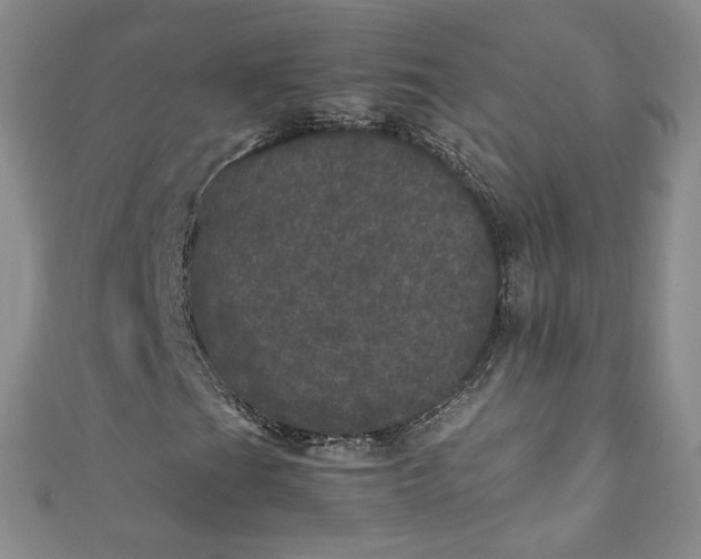 X0000111471201200907271304