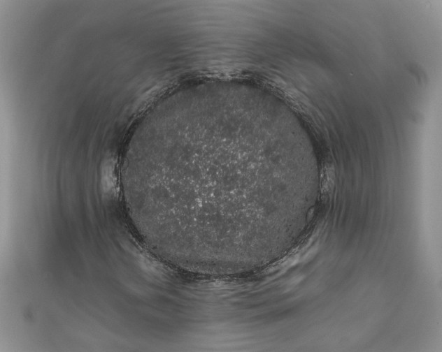 X0000111471202200907271304