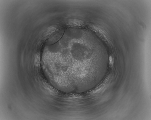 X0000111471203200907271304