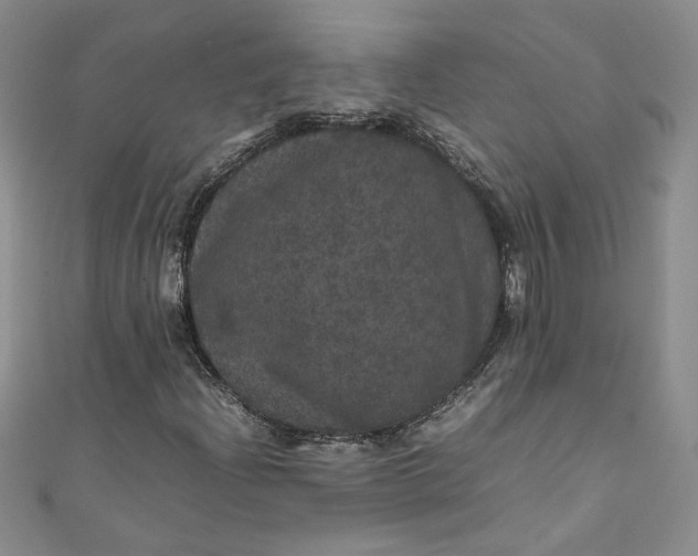 X0000111471204200907271304