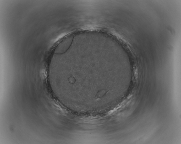 X0000111471206200907271304