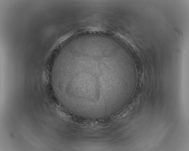 X0000111471207200907271304