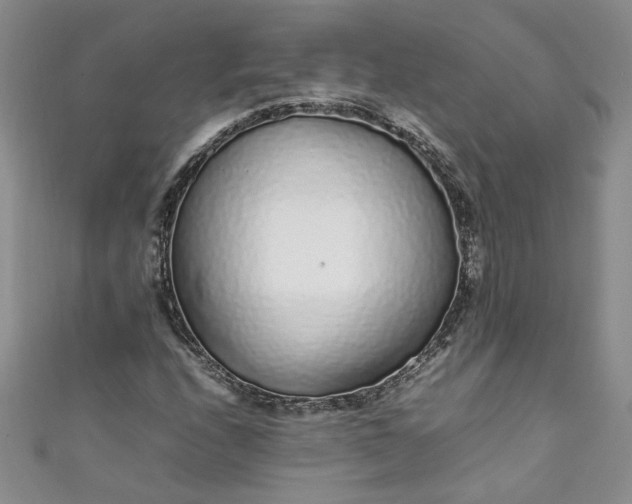 X0000111471208200907271304