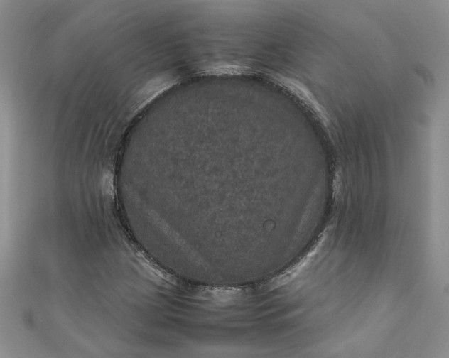 X0000111471209200907271304