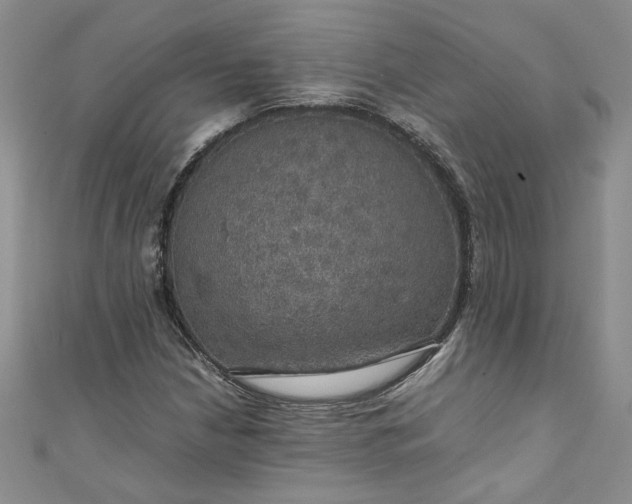 X0000111471210200907271304