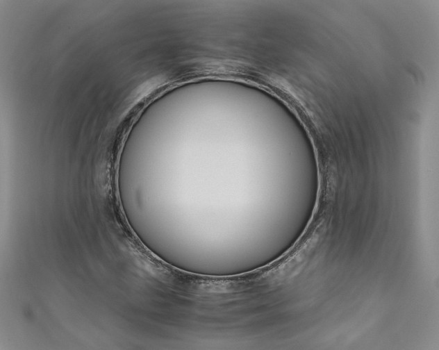 X0000111471211200907271304