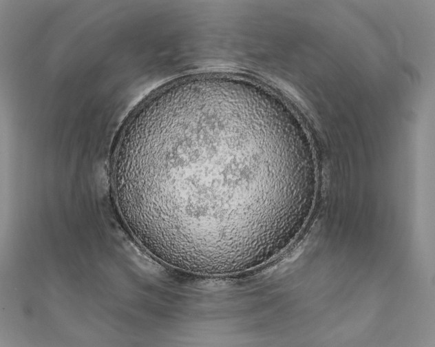 X0000111471212200907271304