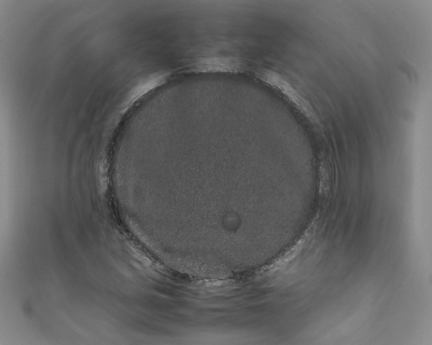 X0000111471213200907271304