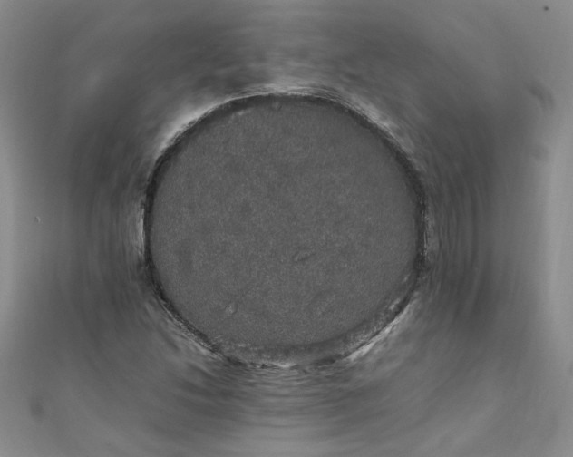 X0000111471214200907271304