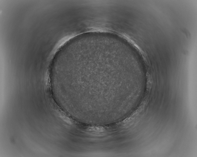 X0000111471215200907271304