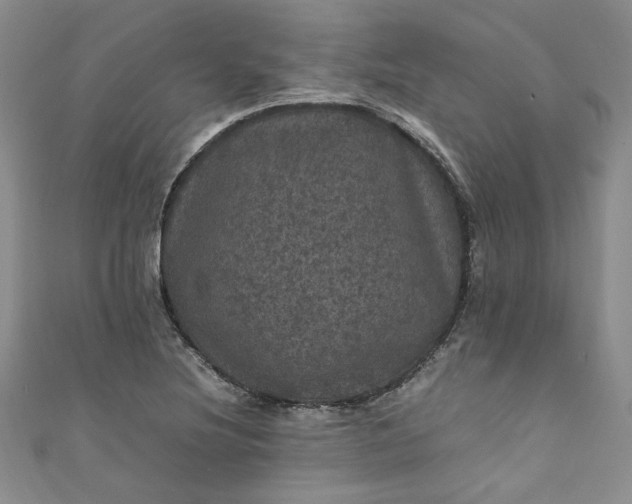 X0000111471220200907271305