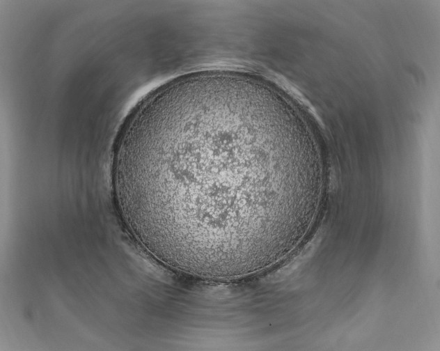 X0000111471222200907271305