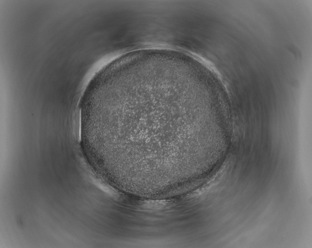 X0000111471223200907271305