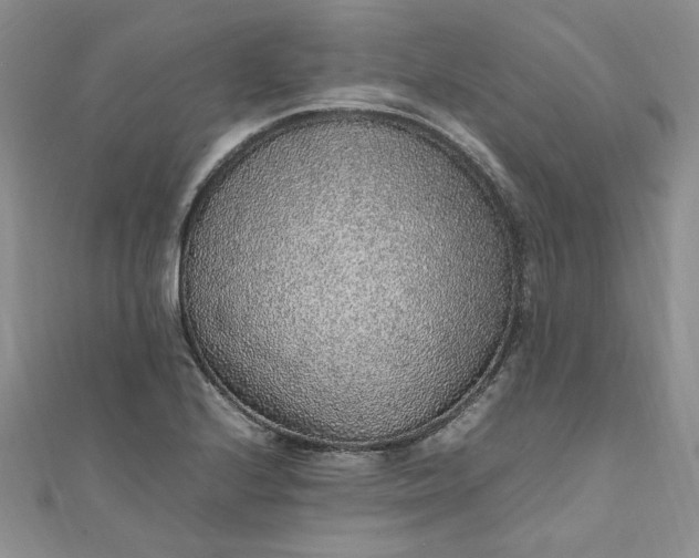 X0000111471224200907271305