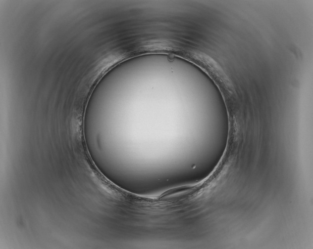 X0000111471225200907271305