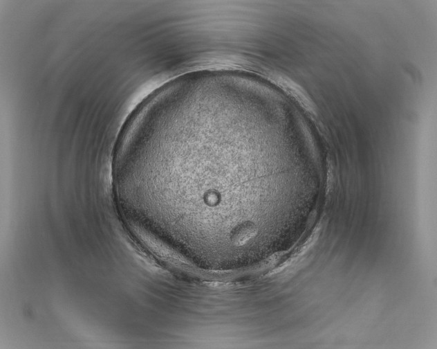 X0000111471226200907271305