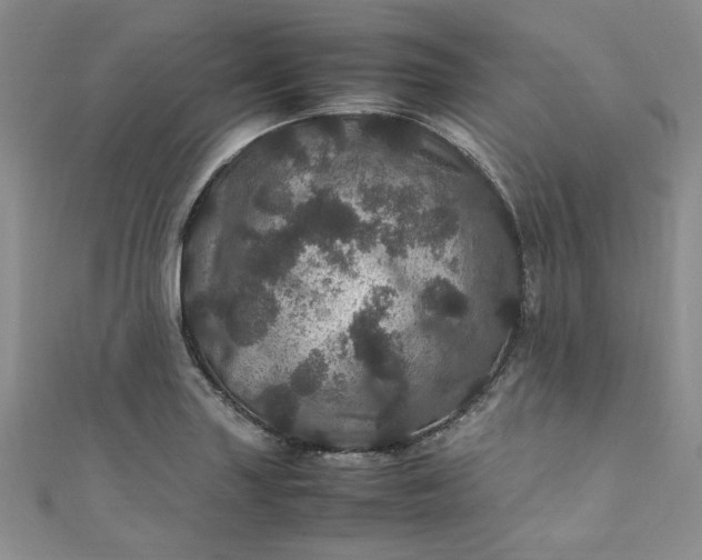 X0000111471227200907271305