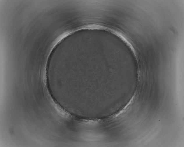 X0000111471229200907271305