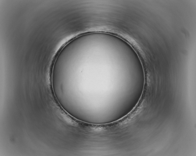 X0000111471230200907271305