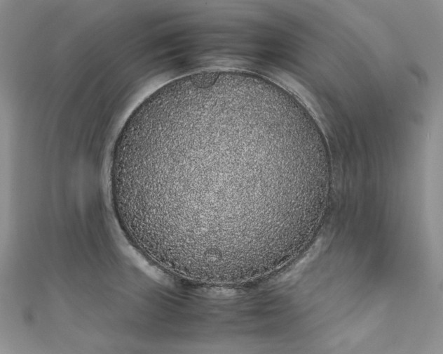 X0000111471235200907271305