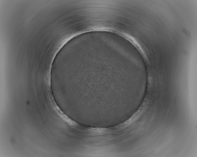 X0000111471236200907271305