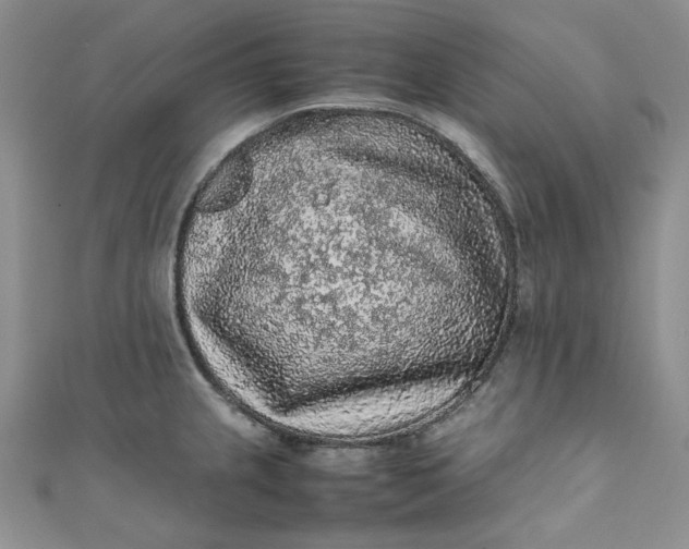 X0000111471237200907271305