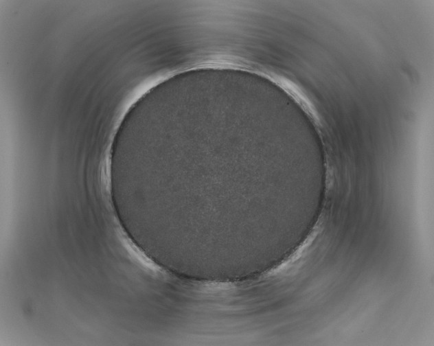 X0000111471238200907271305