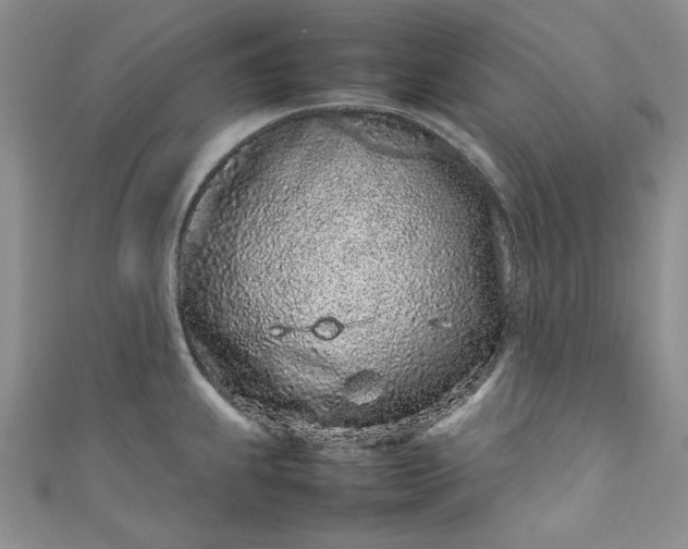 X0000111471239200907271305