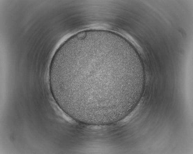 X0000111471240200907271305