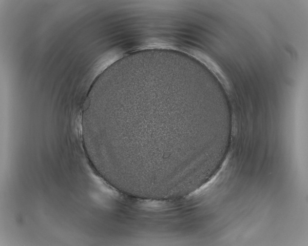 X0000111471241200907271305