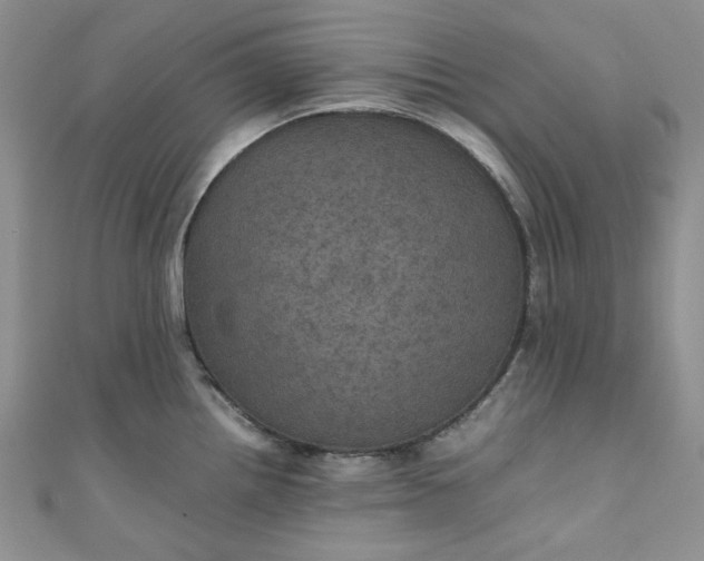 X0000111471242200907271305