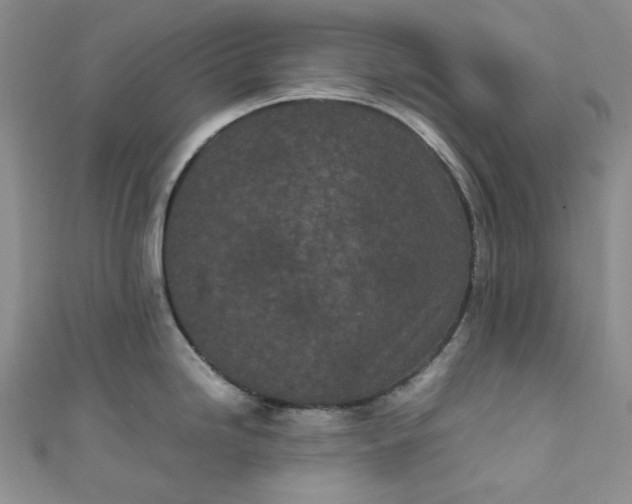 X0000111471246200907271305