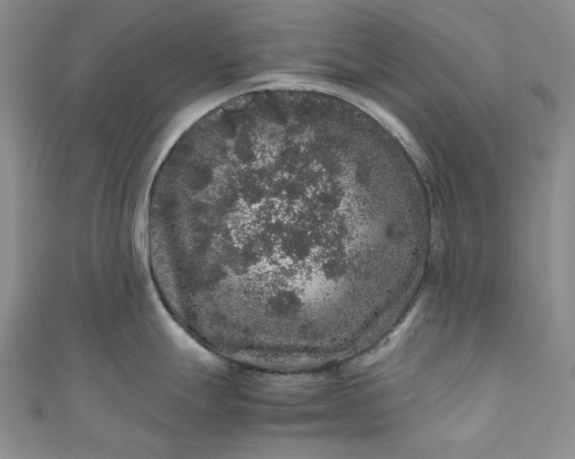 X0000111471247200907271305