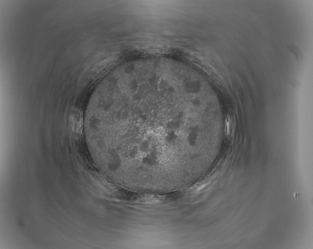 X0000111471251200907271304