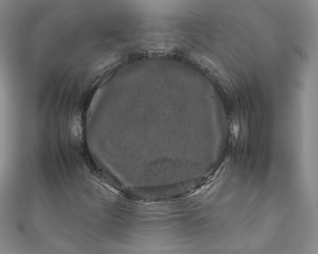 X0000111471252200907271304