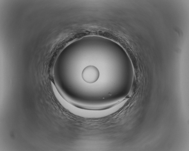 X0000111471253200907271304