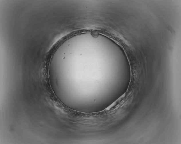 X0000111471256200907271304