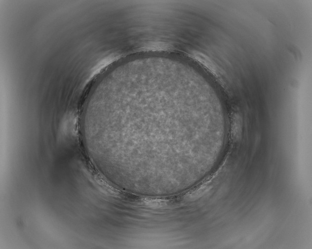 X0000111471258200907271304