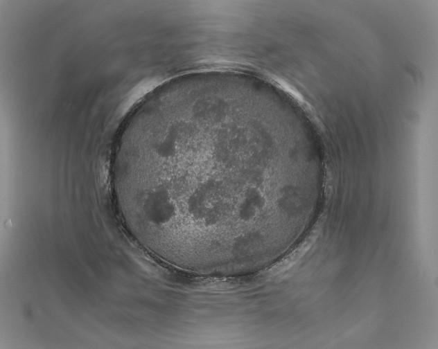 X0000111471259200907271304