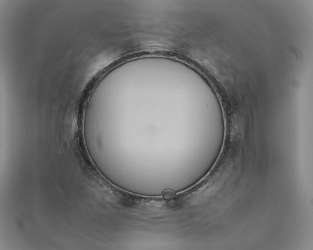 X0000111471261200907271304