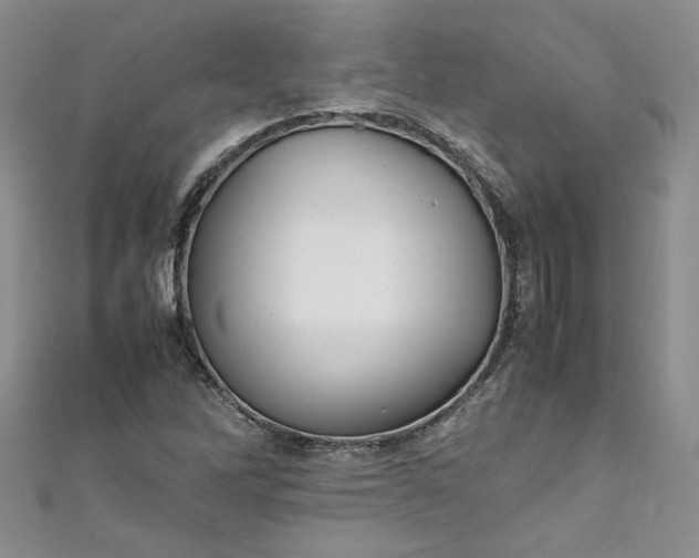 X0000111471262200907271304