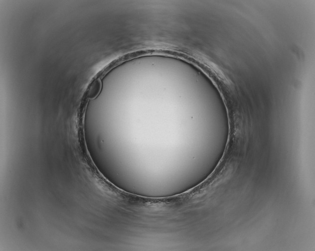 X0000111471264200907271304