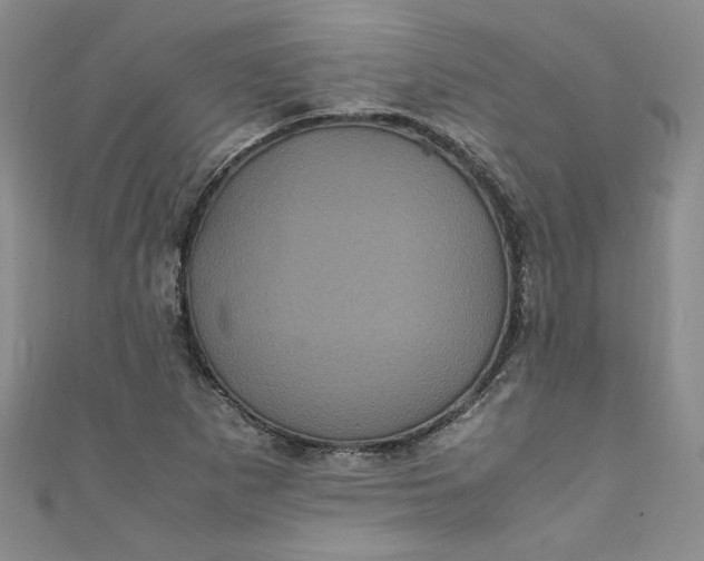 X0000111471265200907271304