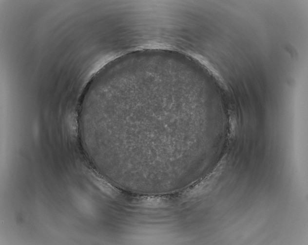 X0000111471266200907271304