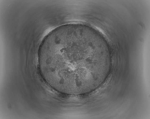 X0000111471267200907271304